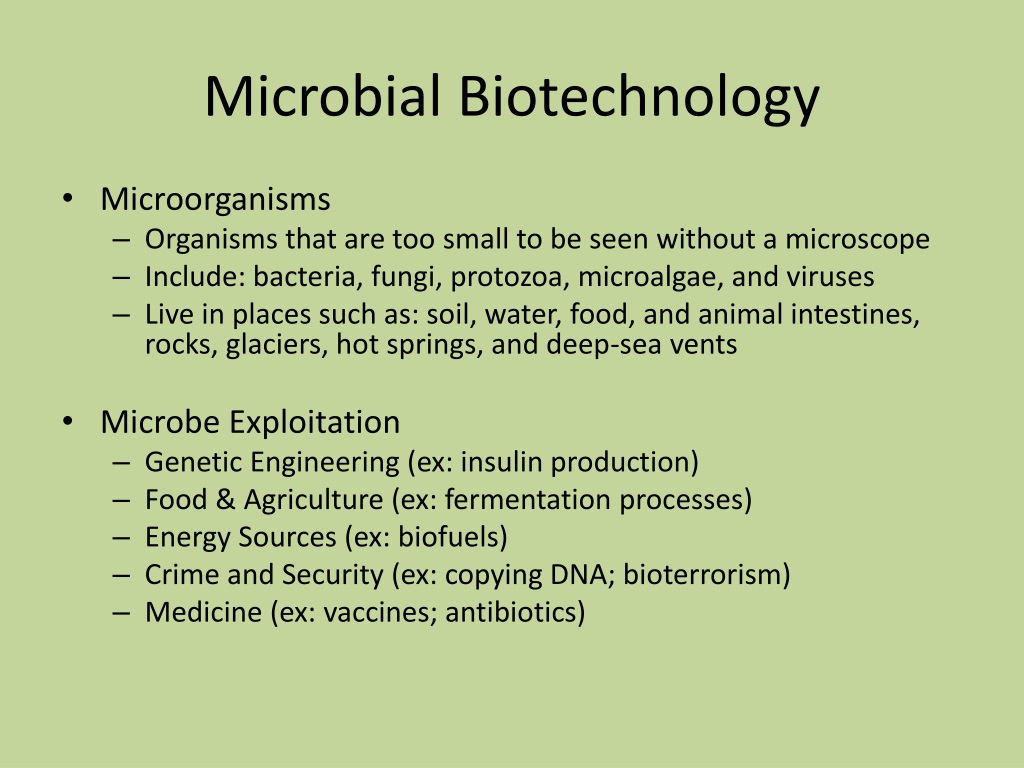 PPT Microbial Biotechnology PowerPoint Presentation, free download