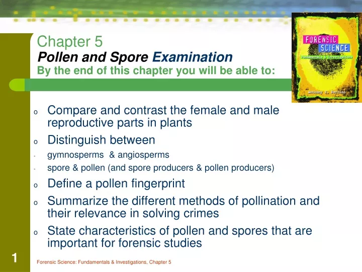 PPT - Chapter 5 Pollen and Spore Examination By the end of this chapter ...