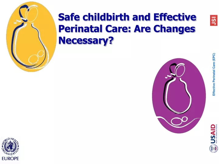 PPT - Safe Childbirth And Effective Perinatal Care: Are Changes ...