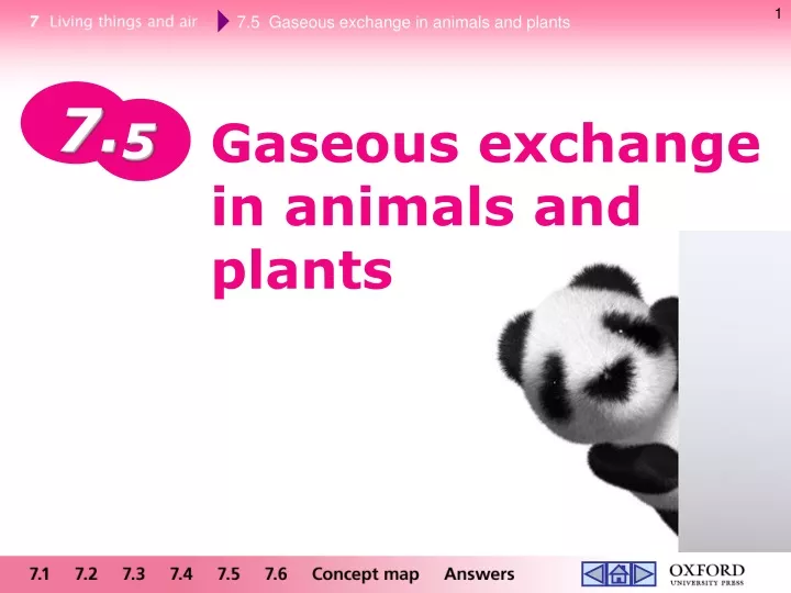 PPT - Gaseous exchange in animals and plants PowerPoint Presentation, free  download - ID:9641679