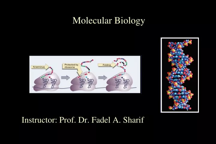 molecular biology n.