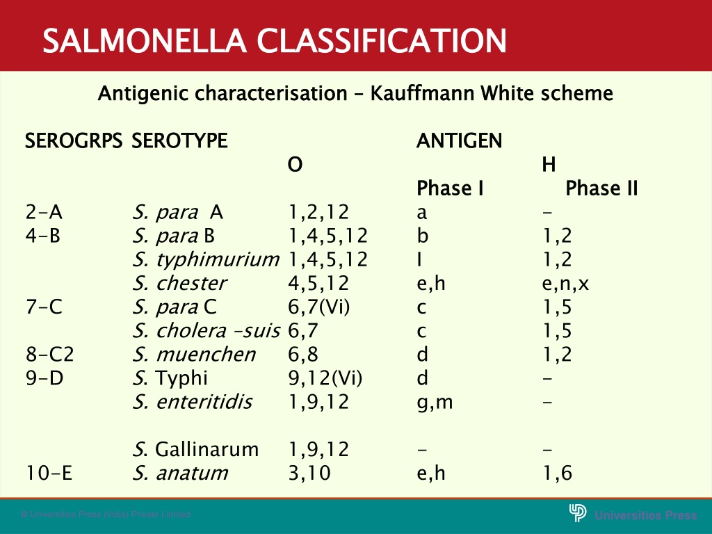 Ppt Salmonella Powerpoint Presentation Free Download Id 9645935