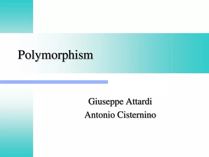 polymorphism n.