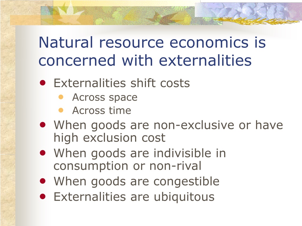 research areas in resource economics