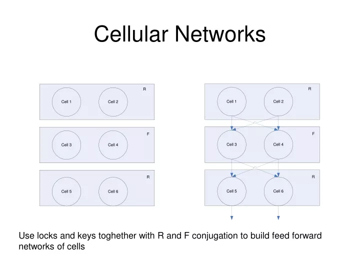 cellular networks n.