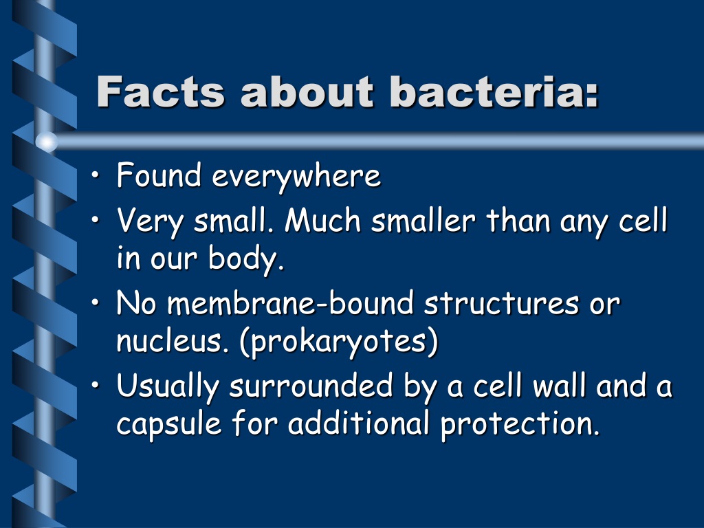 PPT - Bacteria And Viruses PowerPoint Presentation, Free Download - ID ...