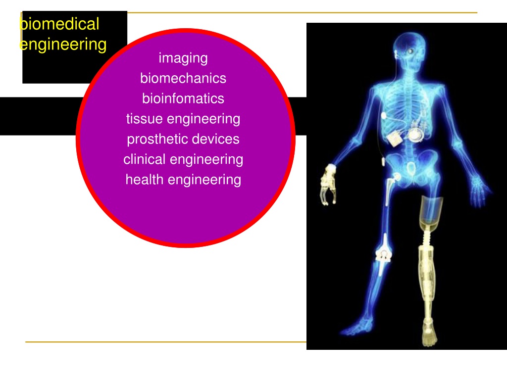 Ppt Biomedical Engineering And Biomaterial Introduction Powerpoint Presentation Id9659731 