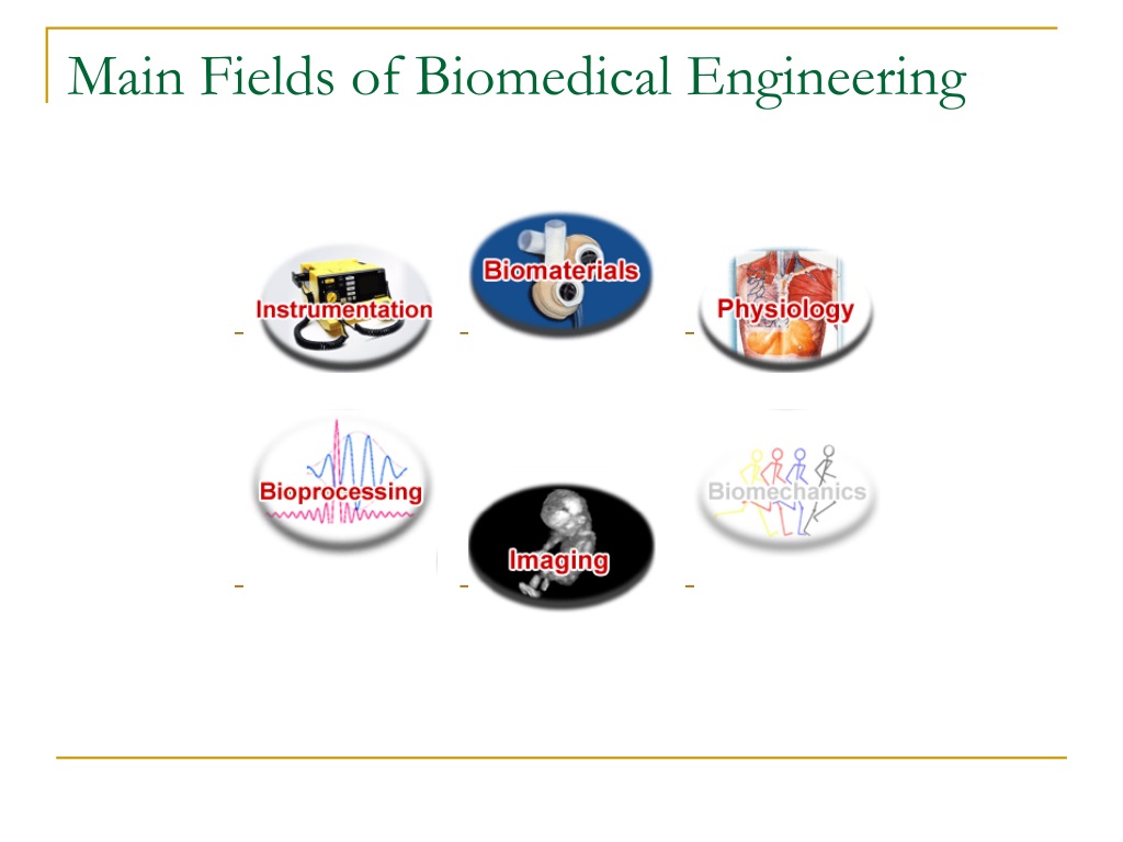 PPT - Biomedical Engineering & Biomaterial Introduction PowerPoint ...