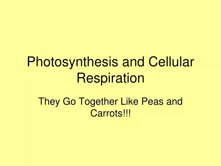 PPT - Photosynthesis And Cellular Respiration PowerPoint Presentation ...