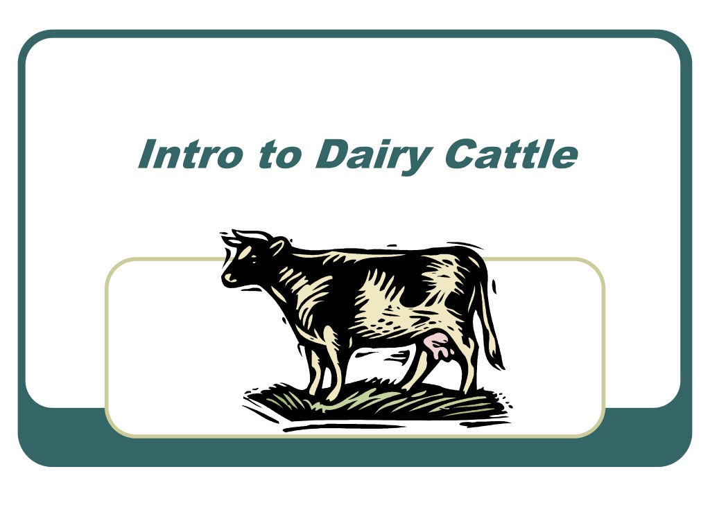 PPT - Intro To Dairy Cattle PowerPoint Presentation, Free Download - ID ...