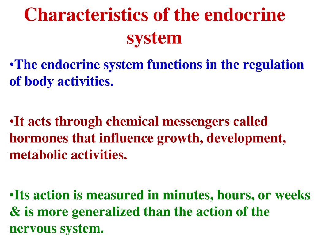 PPT - Endocrine system PowerPoint Presentation, free download - ID:9664923