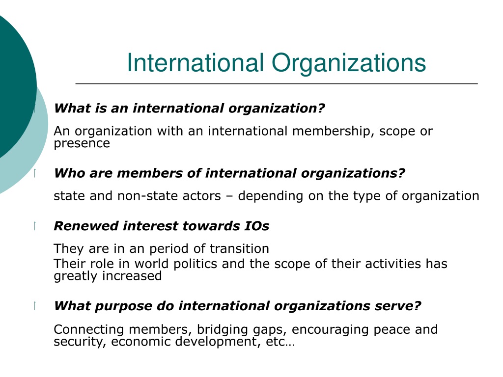 international organizations assignment