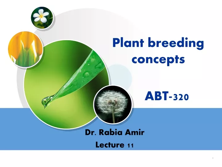 PPT - Plant Breeding Concepts PowerPoint Presentation, Free Download ...