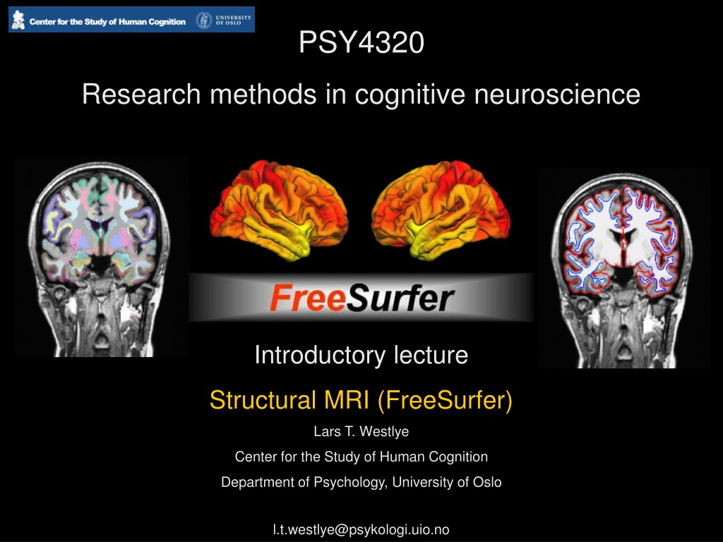 new research on cognitive neuroscience