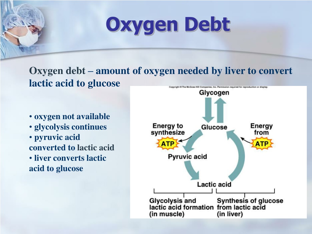 Глюкоза кислород вода энергия