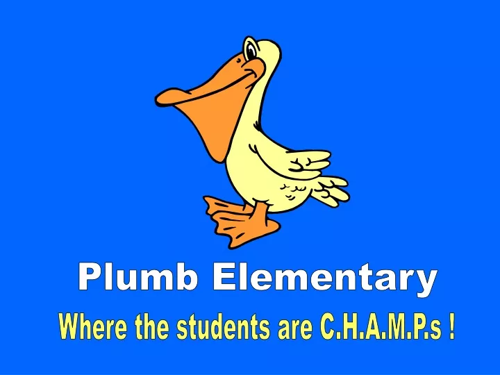 plumb elementary n.