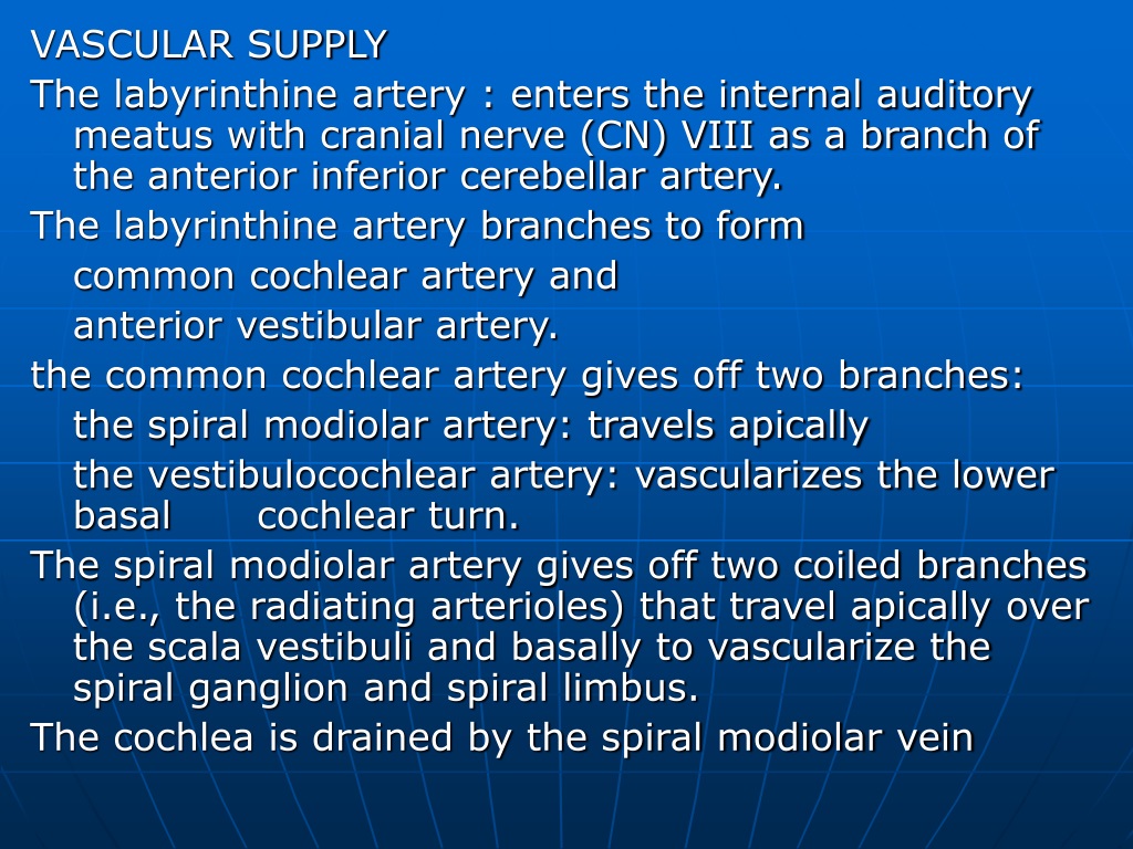 PPT - Cochlear Anatomy and Physiology PowerPoint Presentation, free ...