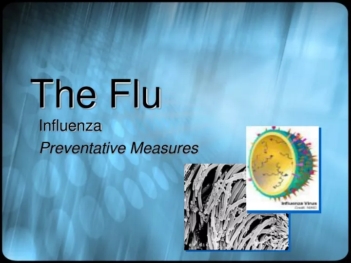 PPT - The Flu PowerPoint Presentation, Free Download - ID:9679787