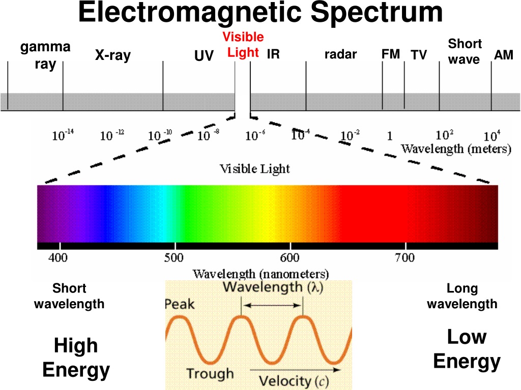 PPT - Notes One Unit Eight Molecules PowerPoint Presentation, free ...