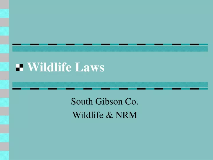 wildlife laws n.