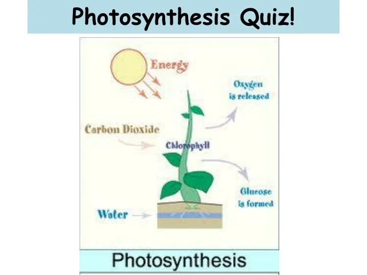 PPT - Photosynthesis Quiz! PowerPoint Presentation, free download - ID ...