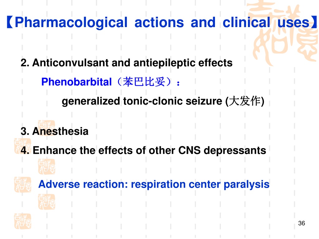 PPT - Zhang Bin Institute Of Pharmacology School Of Medicine Shandong ...