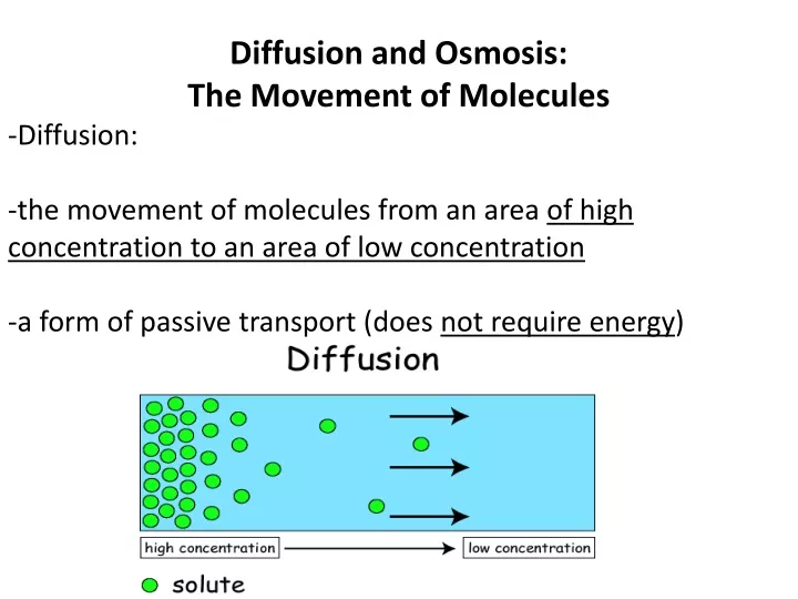 PPT - Diffusion and Osmosis: The Movement of Molecules -Diffusion ...