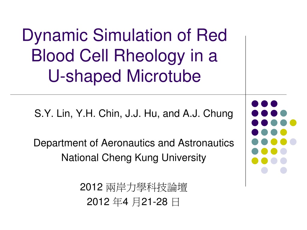 PPT - Dynamic Simulation of Red Blood Cell Rheology in a U-shaped