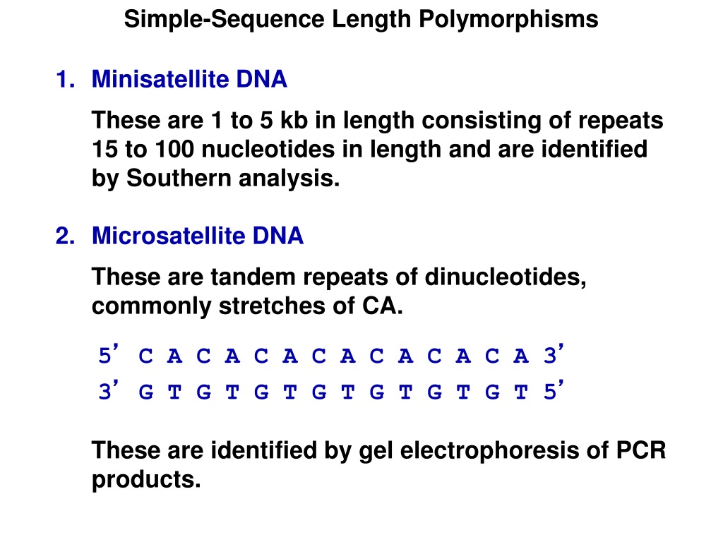 dna sequences with a high degree of polymorphism are