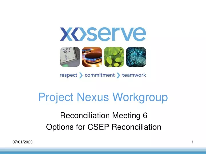 project nexus workgroup n.