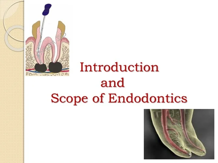 PPT Introduction and Scope of Endodontics PowerPoint Presentation