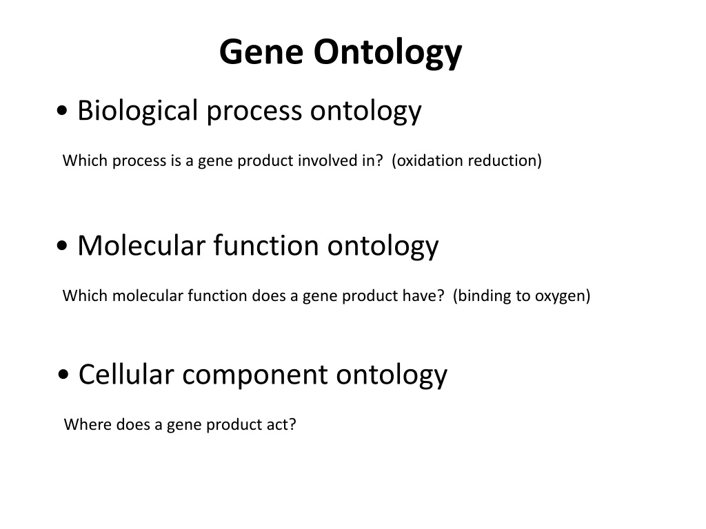 PPT Analysis and Prediction of Protein Function PowerPoint