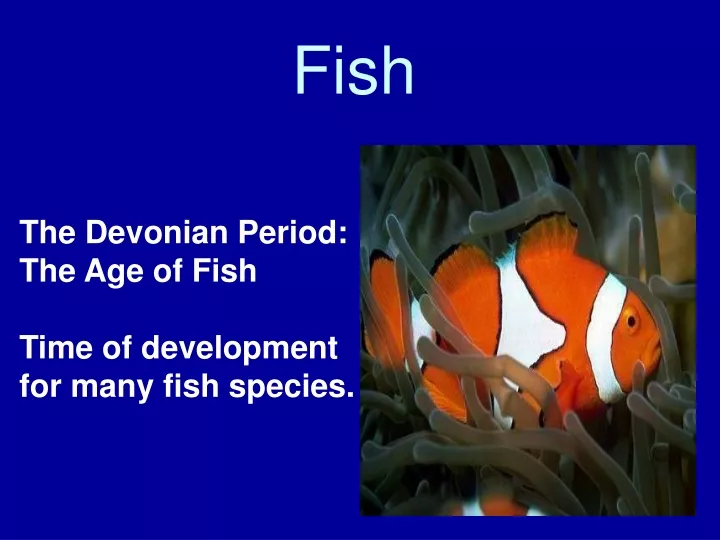 ppt-fish-powerpoint-presentation-free-download-id-9692652