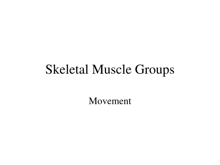 skeletal muscle groups n.