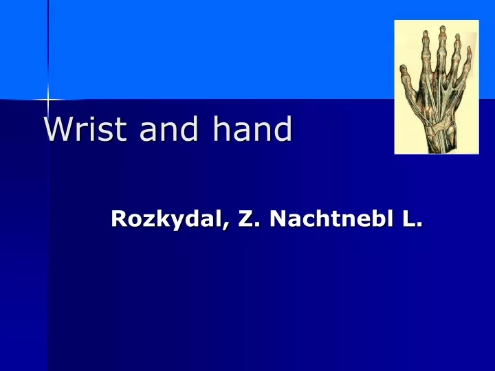 wrist and hand n.