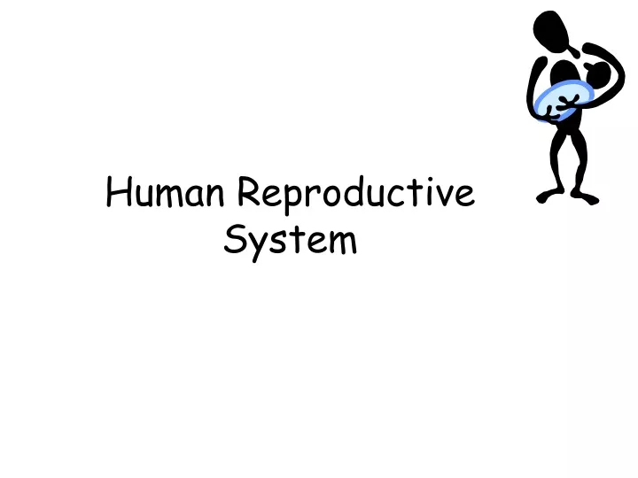 PPT - Human Reproductive System PowerPoint Presentation, free download ...