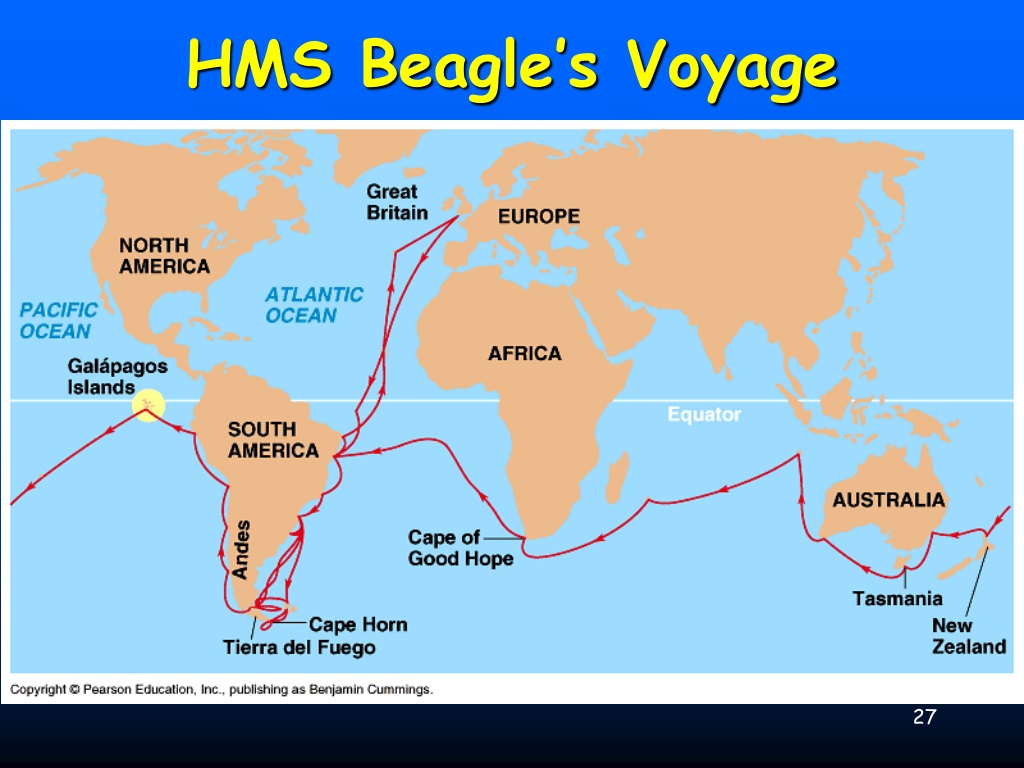 Дарвин путешествие на корабле. Карта путешествия Чарльза Дарвина на корабле Бигль. Маршрут кругосветного путешествия Чарльза Дарвина на корабле Бигль. Путешествие Чарльза Дарвина на корабле Бигль маршрут. Чарльз Дарвин путешествие на корабле Бигль.