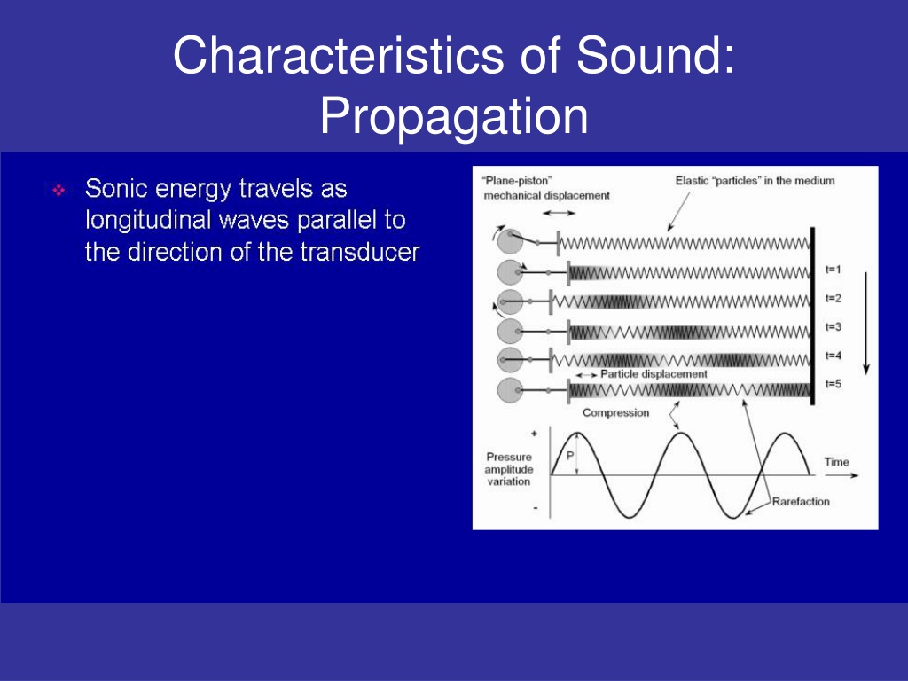 PPT - Ultrasound PowerPoint Presentation, free download - ID:9704609