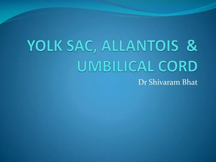 yolk sac allantois umbilical cord n.