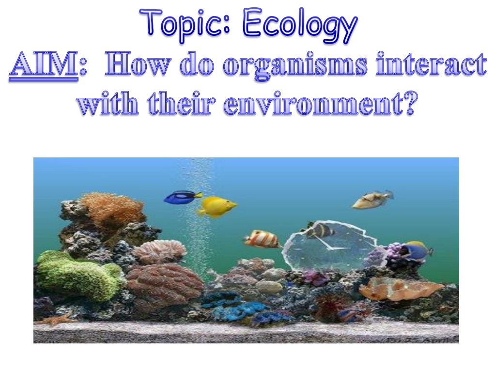 Ecological topic. Voculabrary ecology topic.