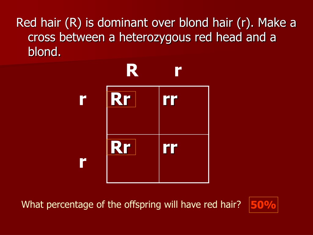 blonde red hair genetics
