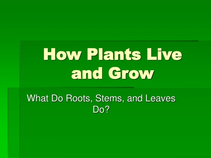 PPT How Plants Live and Grow PowerPoint Presentation, free download