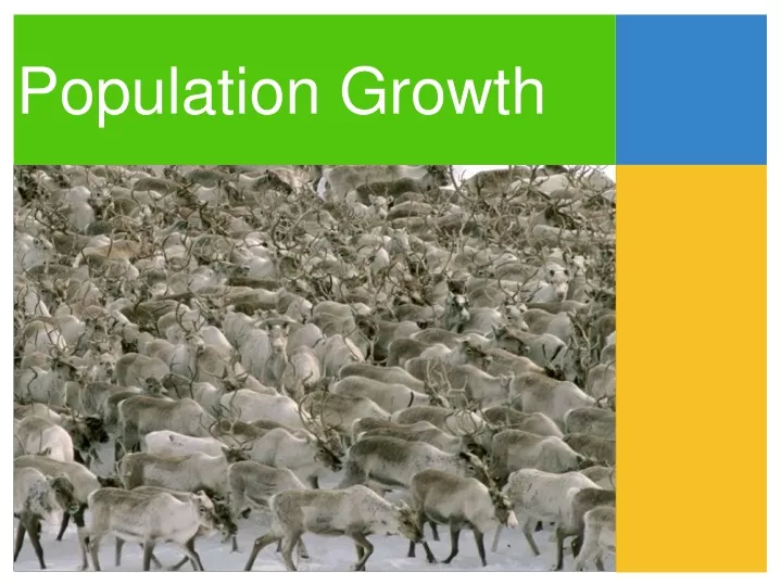 population growth n.