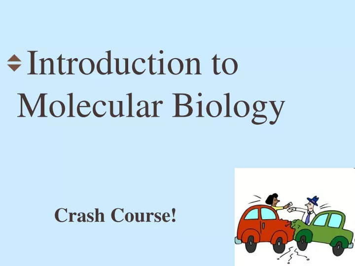 introduction to molecular biology n.