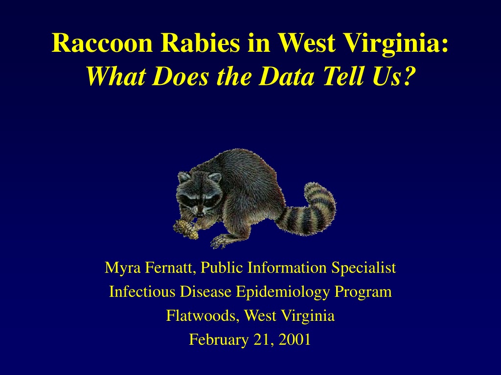 PPT Raccoon Rabies in West Virginia What Does the Data Tell Us