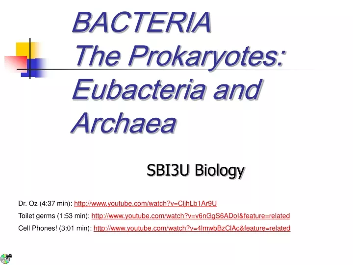 Ppt Bacteria The Prokaryotes Eubacteria And Archaea Powerpoint Presentation Id9714726 