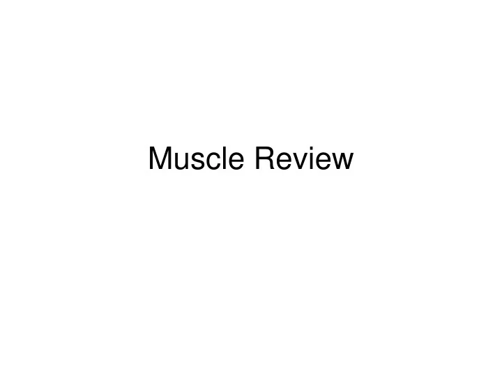 Ppt Muscle Review Powerpoint Presentation Free Download Id 9715544