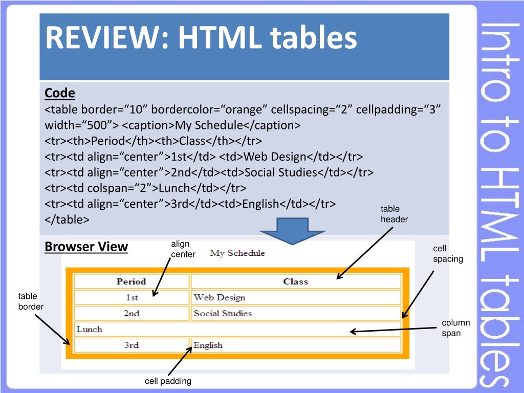 Ячейка таблицы css. Border html таблицы. Таблица html CSS. Header в таблице html. Границы таблицы html.