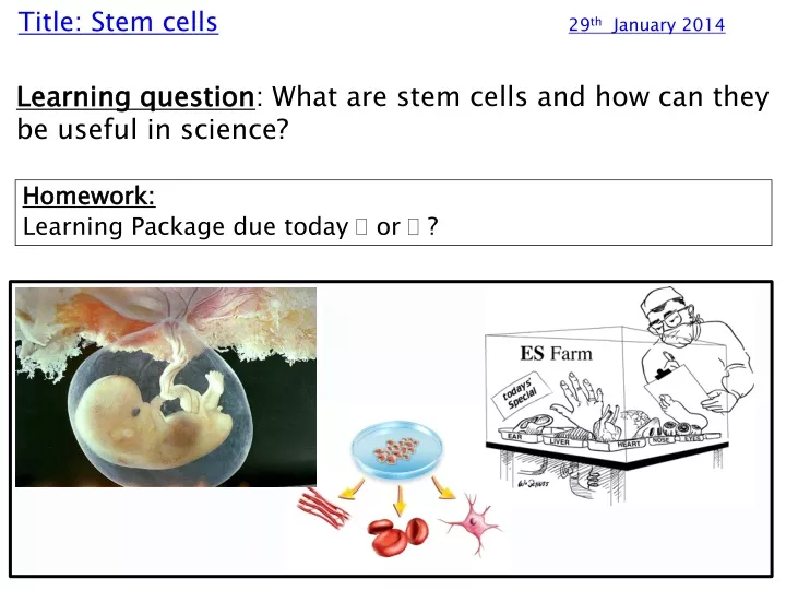 title stem cells 29 th january 2014 n.