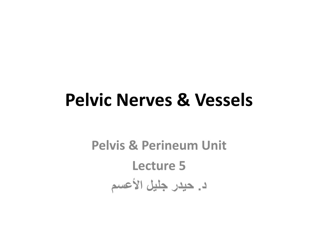 Pelvic Girdle-Lower Limbs p. 158-161  Pelvic Girdle  Consists